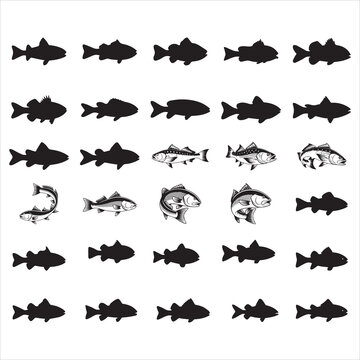 Red Drum Fish Svg,Drum Fish Silhouette 