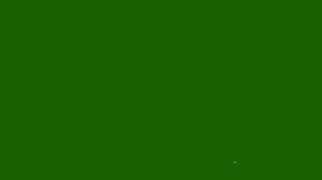 Emerald Green Backdrop: A serene and versatile emerald green backdrop, perfect for design and showcasing a range of content, providing a sense of depth and vibrancy.
