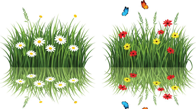 Spring meadow reflection vector set featuring grass with daisies and colorful wildflowers mirrored in water in natural landscape design