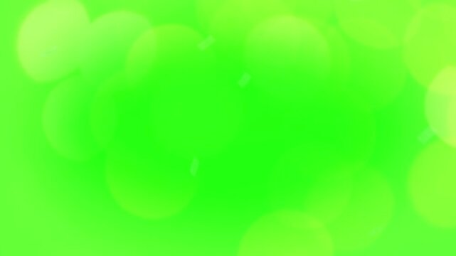 A simple green screen backdrop with a thin, clean white rectangular border.