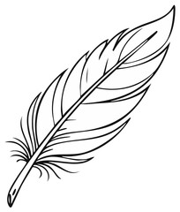 Obraz premium Isolated feather outline design with detailed quill, single feather graphic element for various design and artistic needs