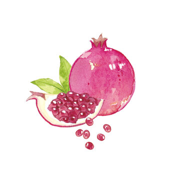 ザクロ Images – Browse 2,646 Stock Photos, Vectors, and Video
