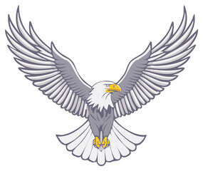 Obraz premium Majestic bald eagle with wings spread wide in flight, powerful predator symbol