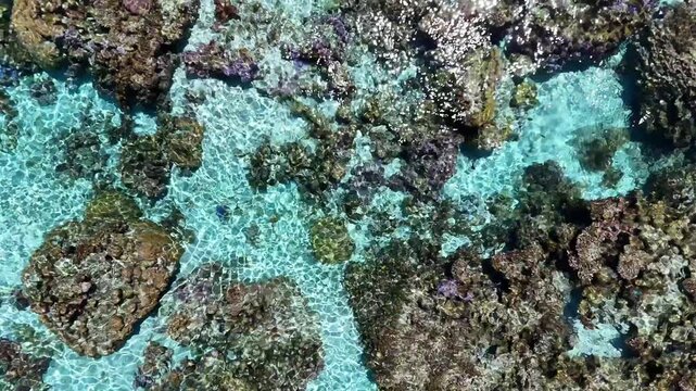 南国の空撮映像