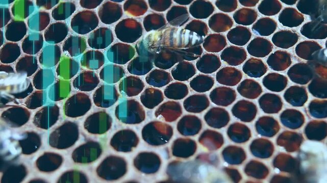 Central bee resting while bees entering frame causing contact tending cells with green or blue bars