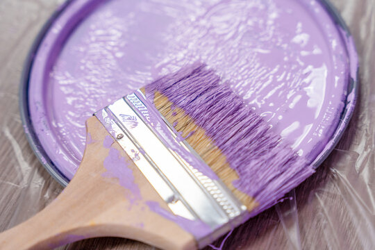 Close up of a paint brush loaded with pastel lavender paint over an open can, highlighting wet texture, home decorating work and a soft colored renovation concept in detail