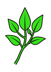 Fototapeta premium Green Plant Growth Vector Icon Nature Leaf Symbol
