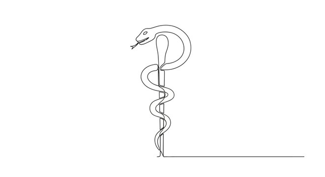 Snake Wrapped Around a Vertical Pole.