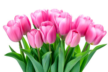 Fototapeta premium Bouquet of pink tulips isolated on white, floral composition