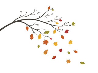Naklejka premium Stylized autumn tree branch with colorful falling leaves.