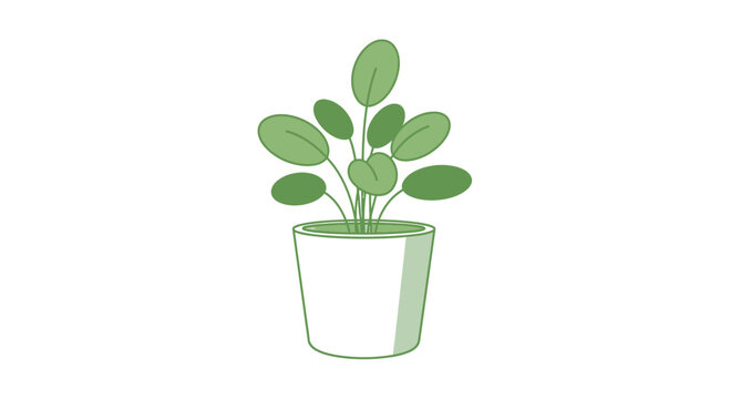 Small green plant in pot.