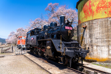 Fototapeta premium Cherry blossoms and a steam locomotive: Wakasa Railway, Tottori Prefecture