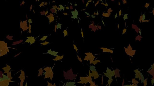 autumn leaves motion video.
