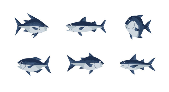 Illustrated depiction of various tuna fish on a white background design