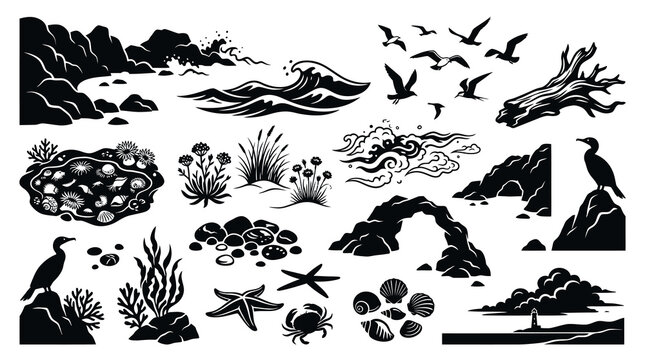 Black  White Sea Life and Coastal Elements Vector Art