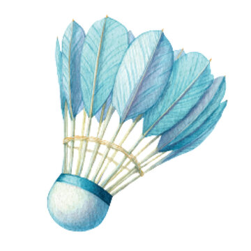 Badminton Shuttlecock with Blue Feathers Closeup.