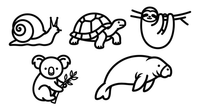 Line art animals snail turtle sloth koala manatee vector illustrations