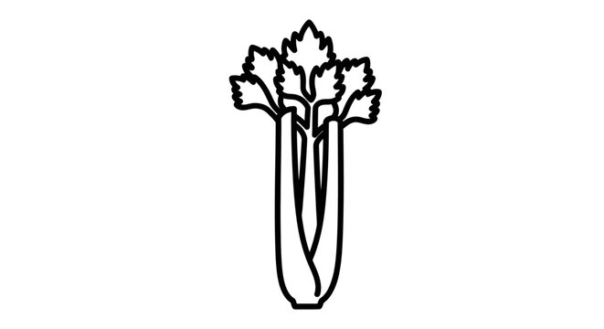 Celery stalk illustration isolated on white background for culinary design