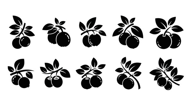 Collection of black cherry icons on white.