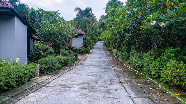 Phi Phi Island on August 15, 2025: Concrete pathway through lush tropical resort garden landscape