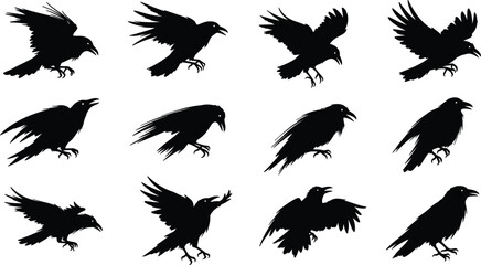 Obraz premium Crow silhouettes set in various flying and landing poses featuring black bird shapes for wildlife and design elements