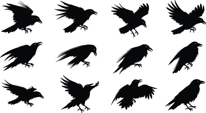 Crow silhouettes set in various flying and landing poses featuring black bird shapes for wildlife and design elements