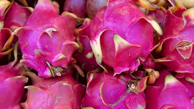 Vibrant pile of fresh dragon fruit (pitaya) at a tropical market. Exotic pink skin and green scales close-up. Healthy organic food background for culinary and travel concepts.