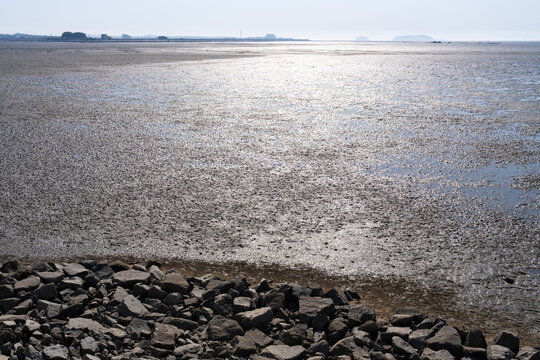 Sparkling Mudflat Surface with Rocky Shoreline at Low Tide