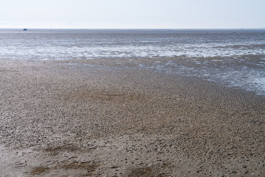 Natural Texture of Wet Mudflat with Clear Coastal Horizon