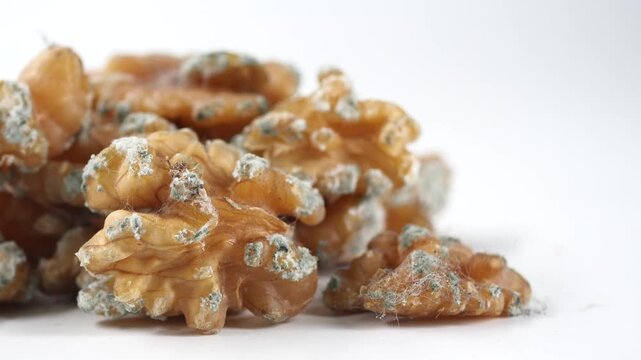 Moldy walnuts found under kitchen shelf in home