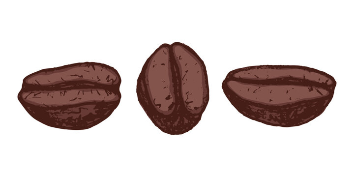 Set of hand drawn fresh roasted coffee bean Arabica robusta seed doodle Single element for design print packaging label decor