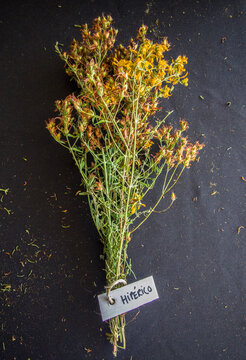 Hypericum perforatum or St. Johns wort
