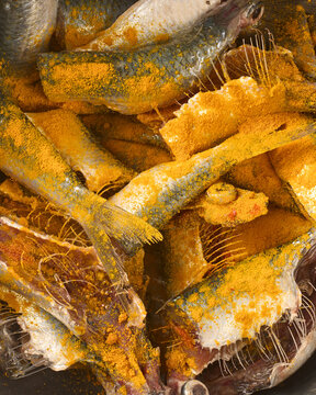 raw small fish coated in yellow turmeric powder, detailed scales and bones of cleaned fish, top view in full frame, traditional cooking concept
