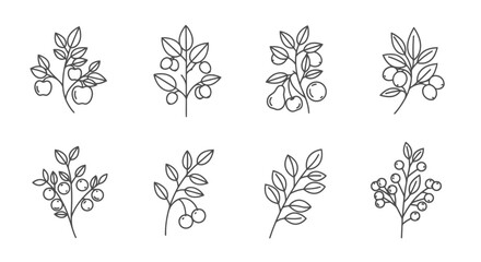 Fototapeta premium A collection of various plant illustrations.