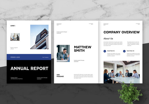 Blue Clean Corporate Annual Report