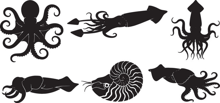 Black Solid Cephalopod Silhouettes Set of Six on White Background