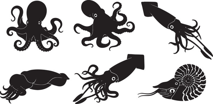Black Solid Cephalopod Silhouettes Set of Six on White Background