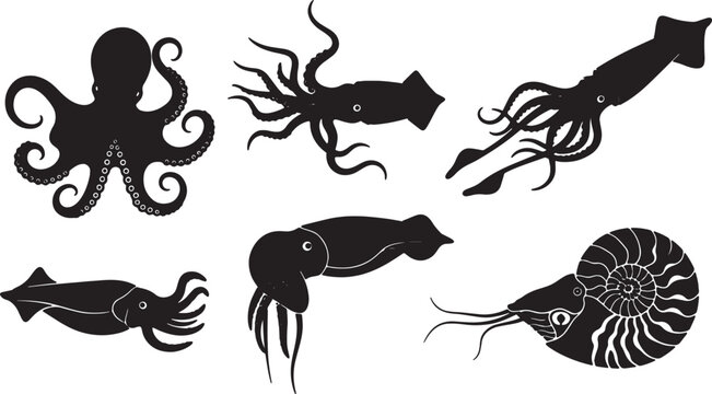 Black Solid Cephalopod Silhouettes Set of Six on White Background