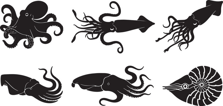 Black Solid Cephalopod Silhouettes Set of Six on White Background