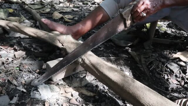 a piece of fallen branch being cut with a handsaw, an Asian man sitting and sawing a piece of wood