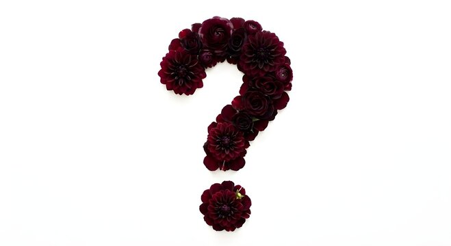 Floral question mark symbol made of dark burgundy dahlias and roses on a white background. Botanical punctuation mark for elegant design and creative concepts.