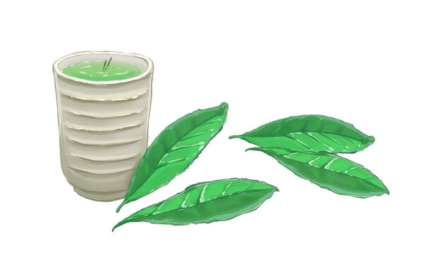 Hand-drawn Japanese green tea in a yunomi cup and fresh tea leaves / 湯呑に入った緑茶と新茶の茶葉の手描きイラスト