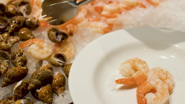 Person Serving Fresh Shrimp and Sea Snails at an International Buffet