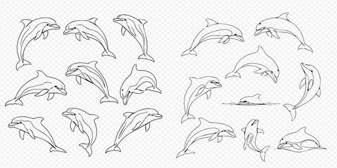 Set of various dolphin line art illustrations in different poses, perfect for marine life designs and educational materials. © Lunara Arts