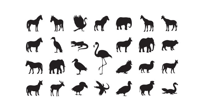 Set of wild animals silhouette icons collection including mammals birds reptiles isolated on white background vector.