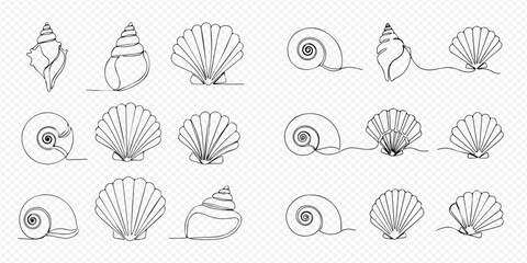 Set of continuous line art drawings of various seashells, showcasing different marine mollusk shells in a minimalist style. © Lunara Arts