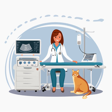Veterinarian with Cat and Ultrasound Machine