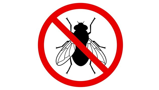 Black fly silhouette inside a red forbidden circle sign on a clean white background