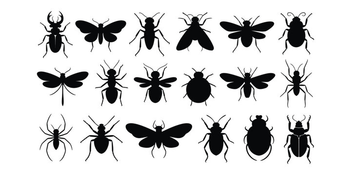 Collection of black insect silhouettes on white background