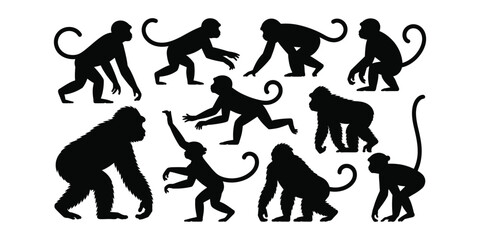Collection of black monkey silhouettes in various poses © MDRAJU